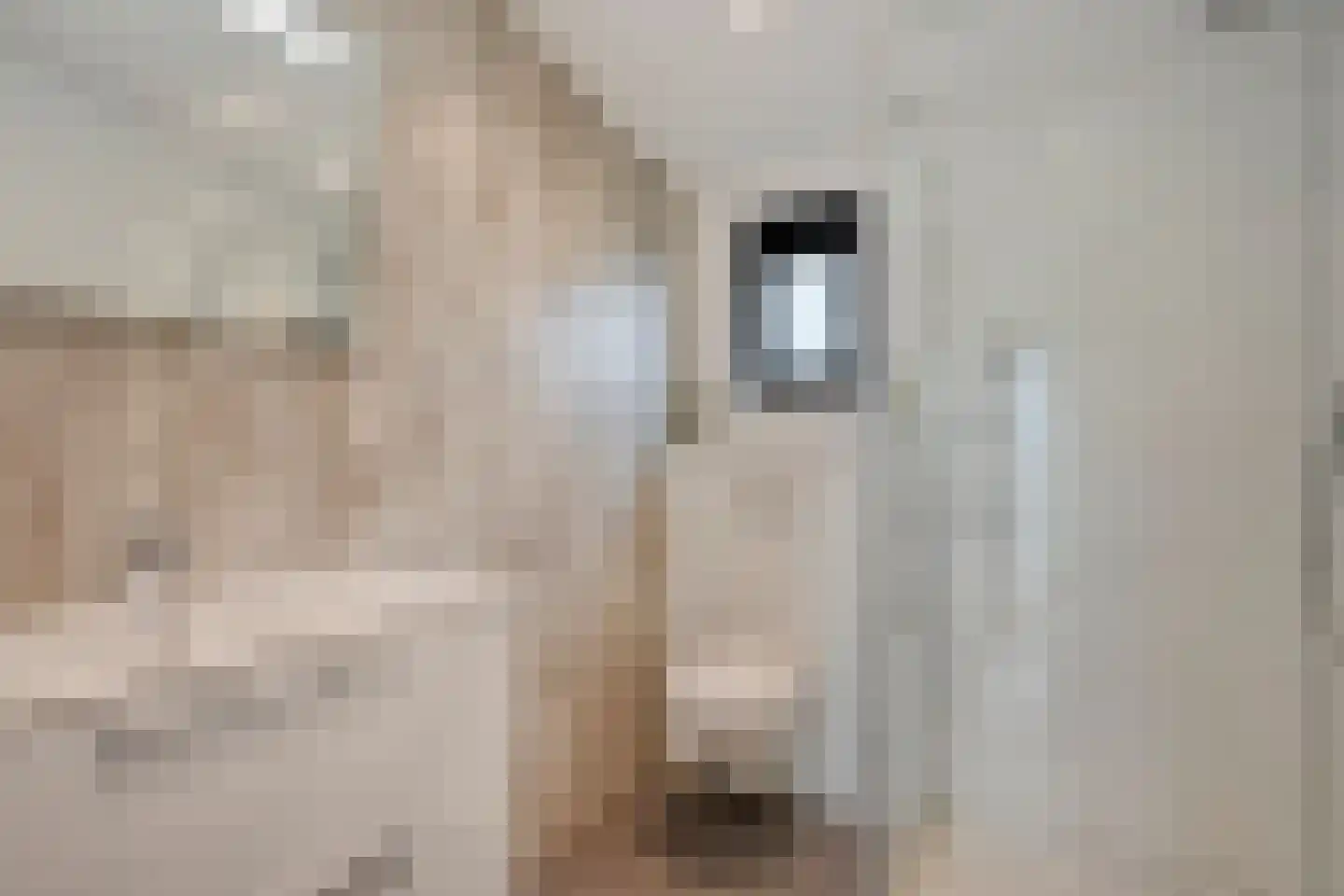 Vloodweg 7 K8 Enter thumbnail 16