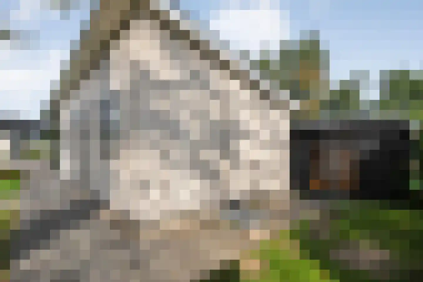 Vloodweg 7 K8 Enter thumbnail 20