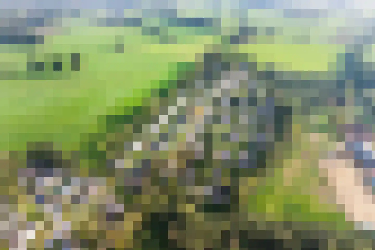 Vloodweg 7 K8 Enter thumbnail 27