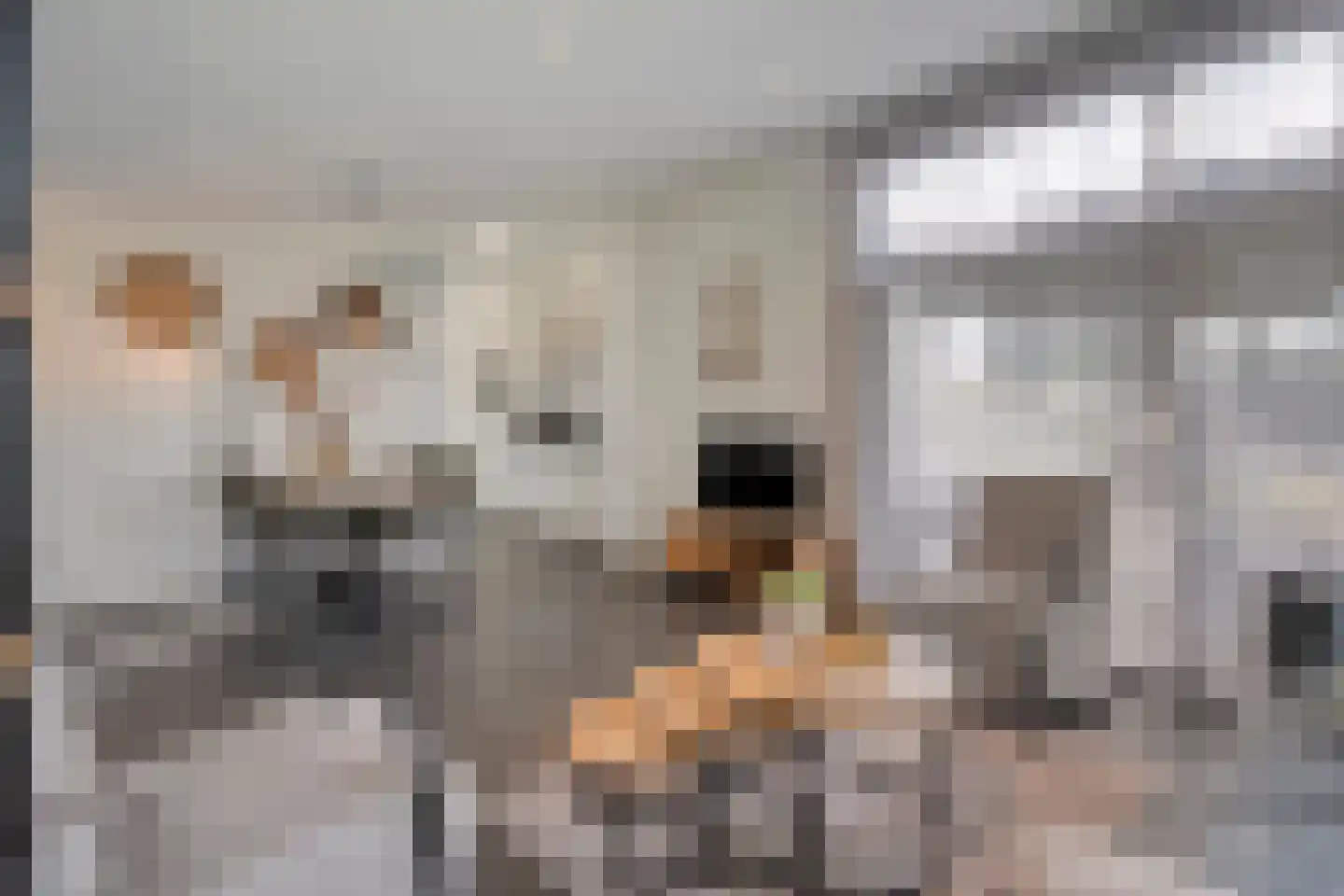 Vloodweg 7 K8 Enter thumbnail 8