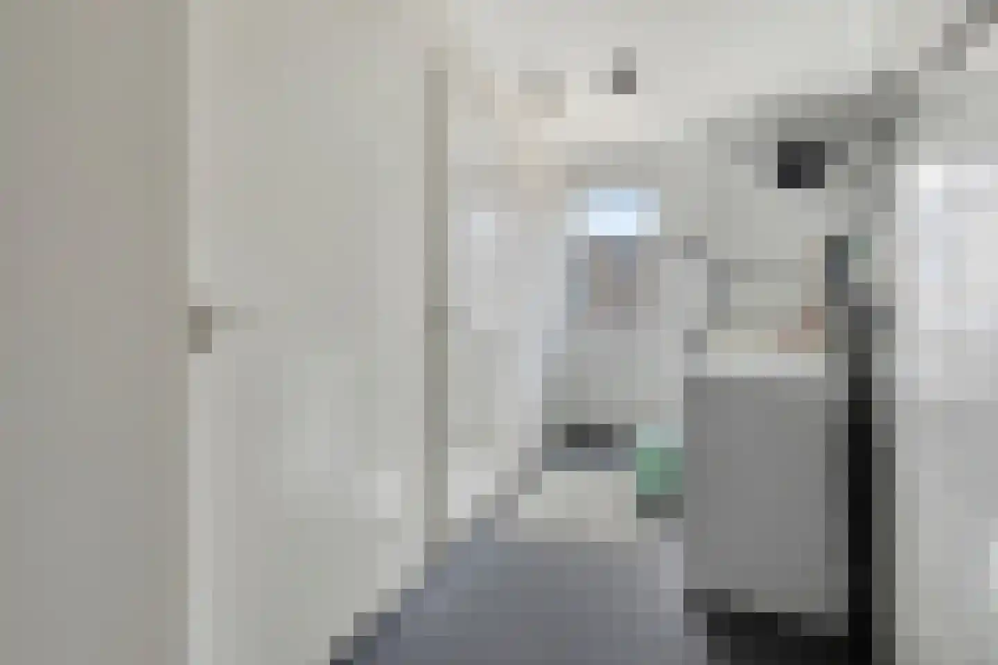 Vlooswijkstraat 14 Terneuzen thumbnail 31