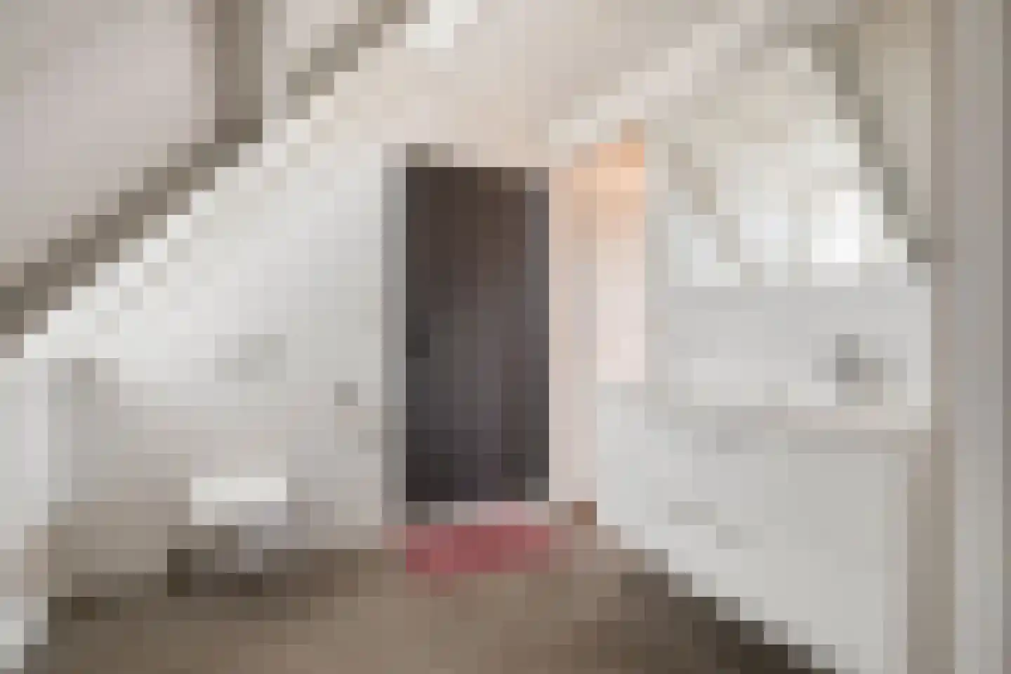 Vlooswijkstraat 14 Terneuzen thumbnail 43