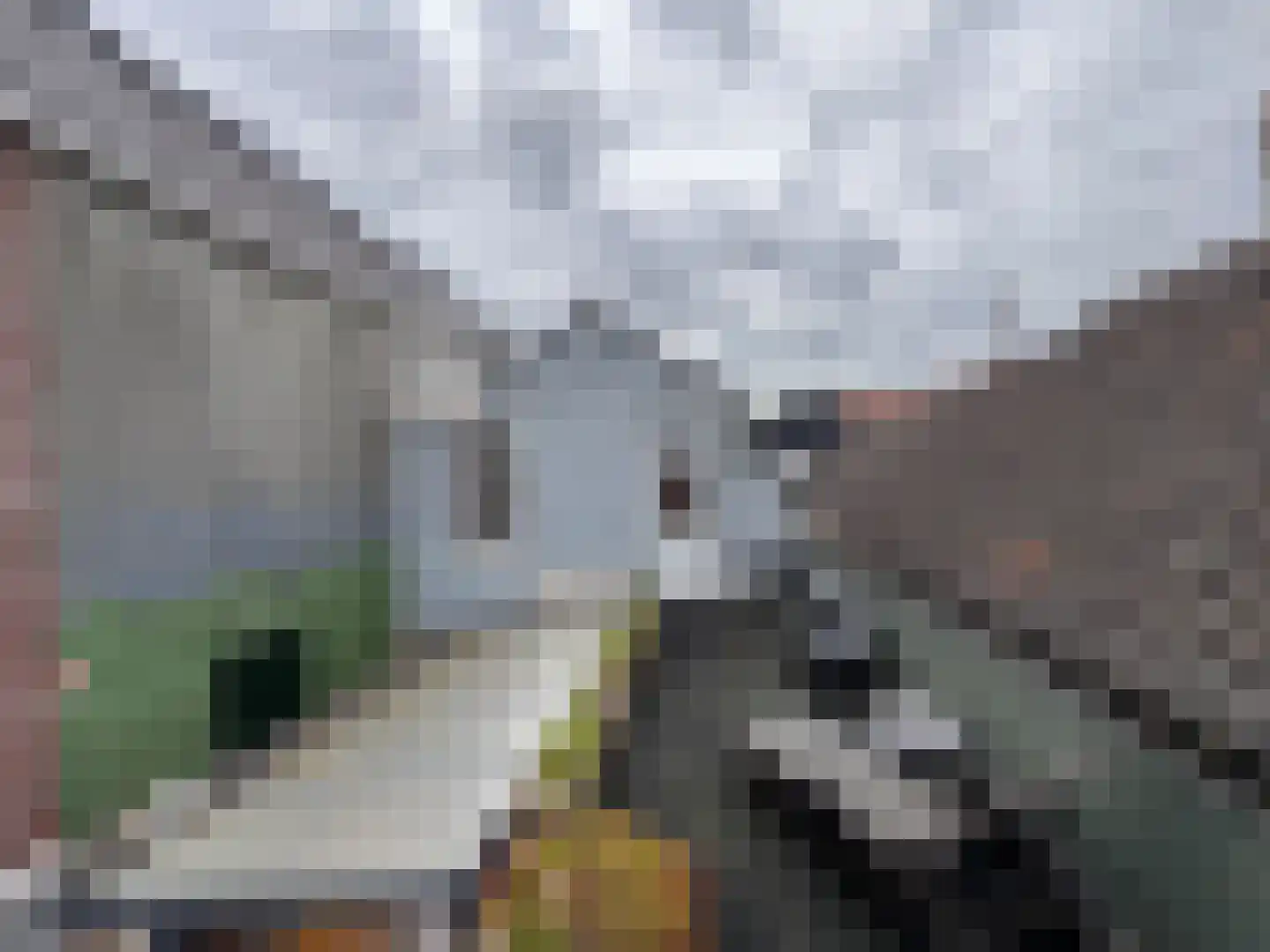 Vlooswijkstraat 59 Terneuzen thumbnail 29