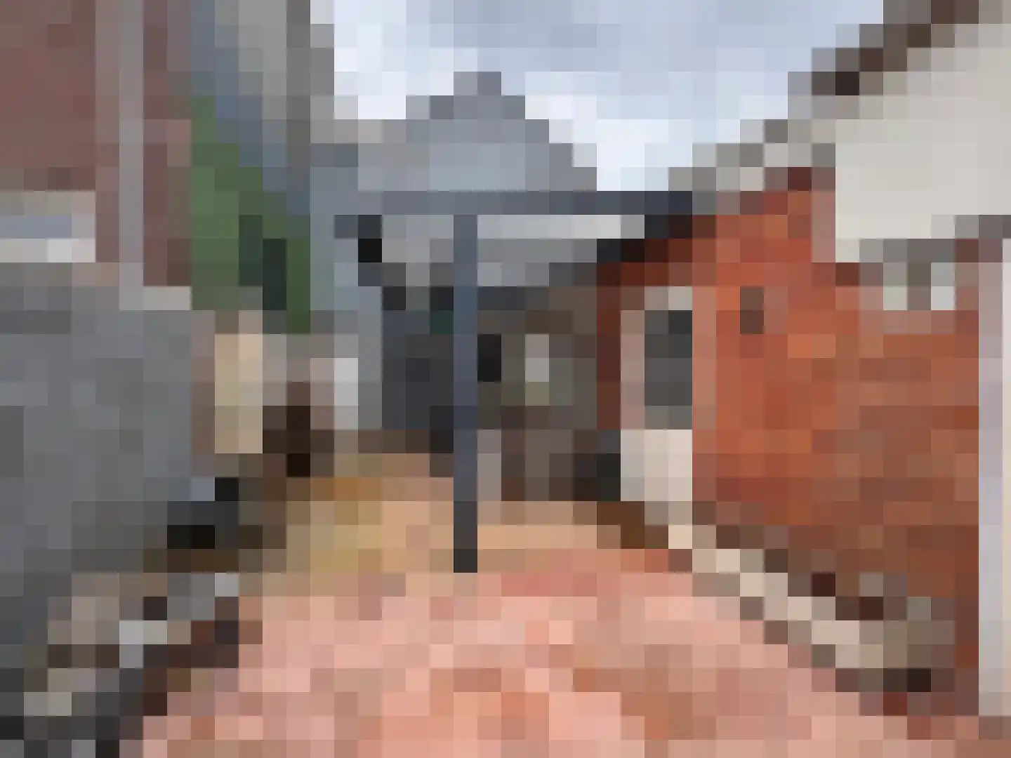 Vlooswijkstraat 59 Terneuzen thumbnail 32