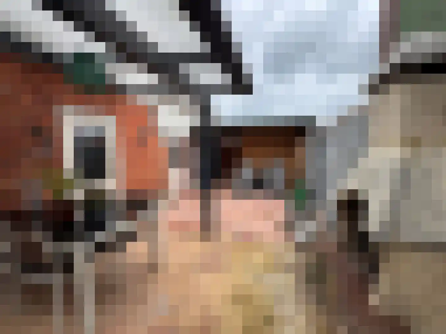 Vlooswijkstraat 59 Terneuzen thumbnail 33