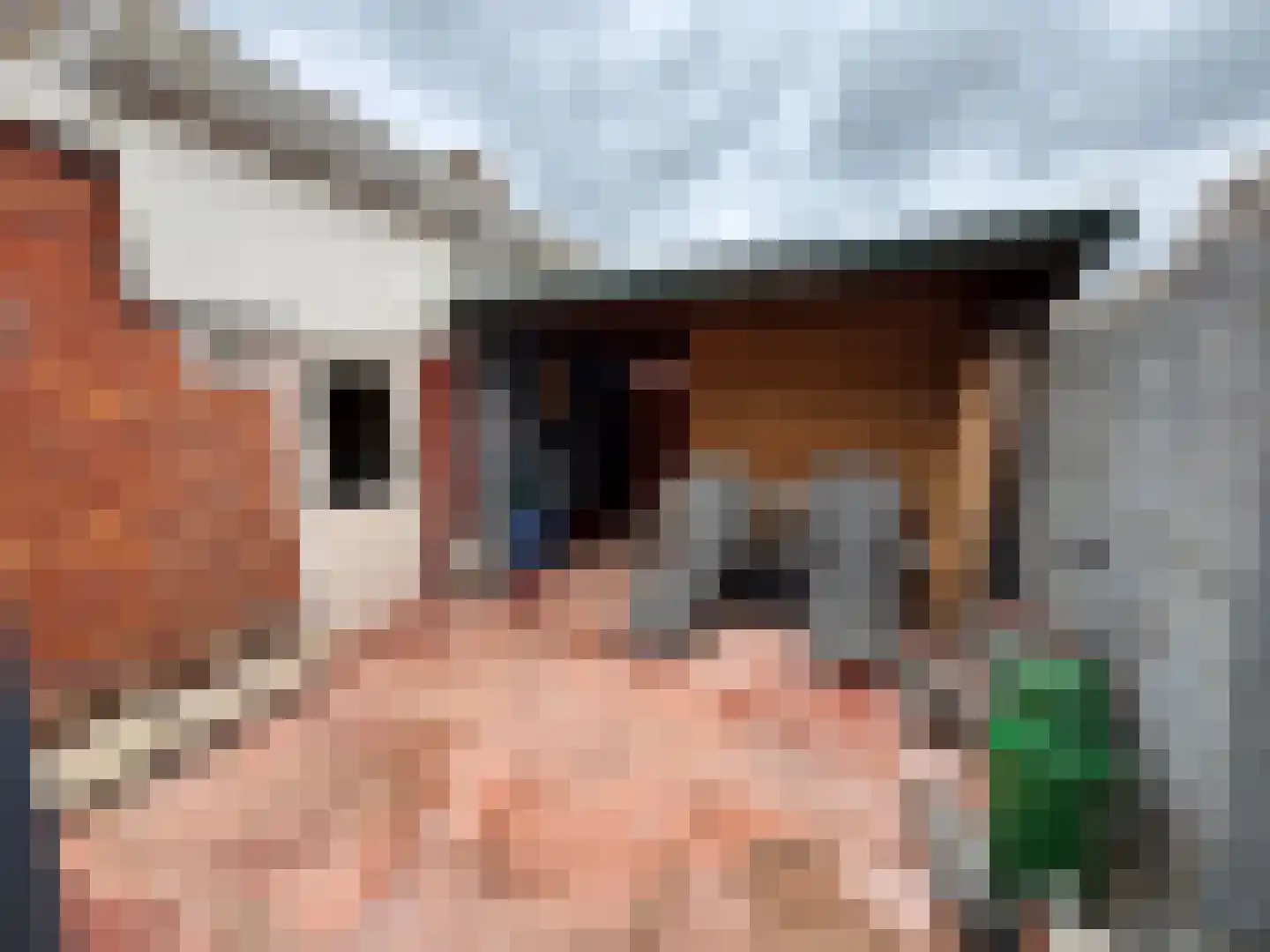 Vlooswijkstraat 59 Terneuzen thumbnail 34
