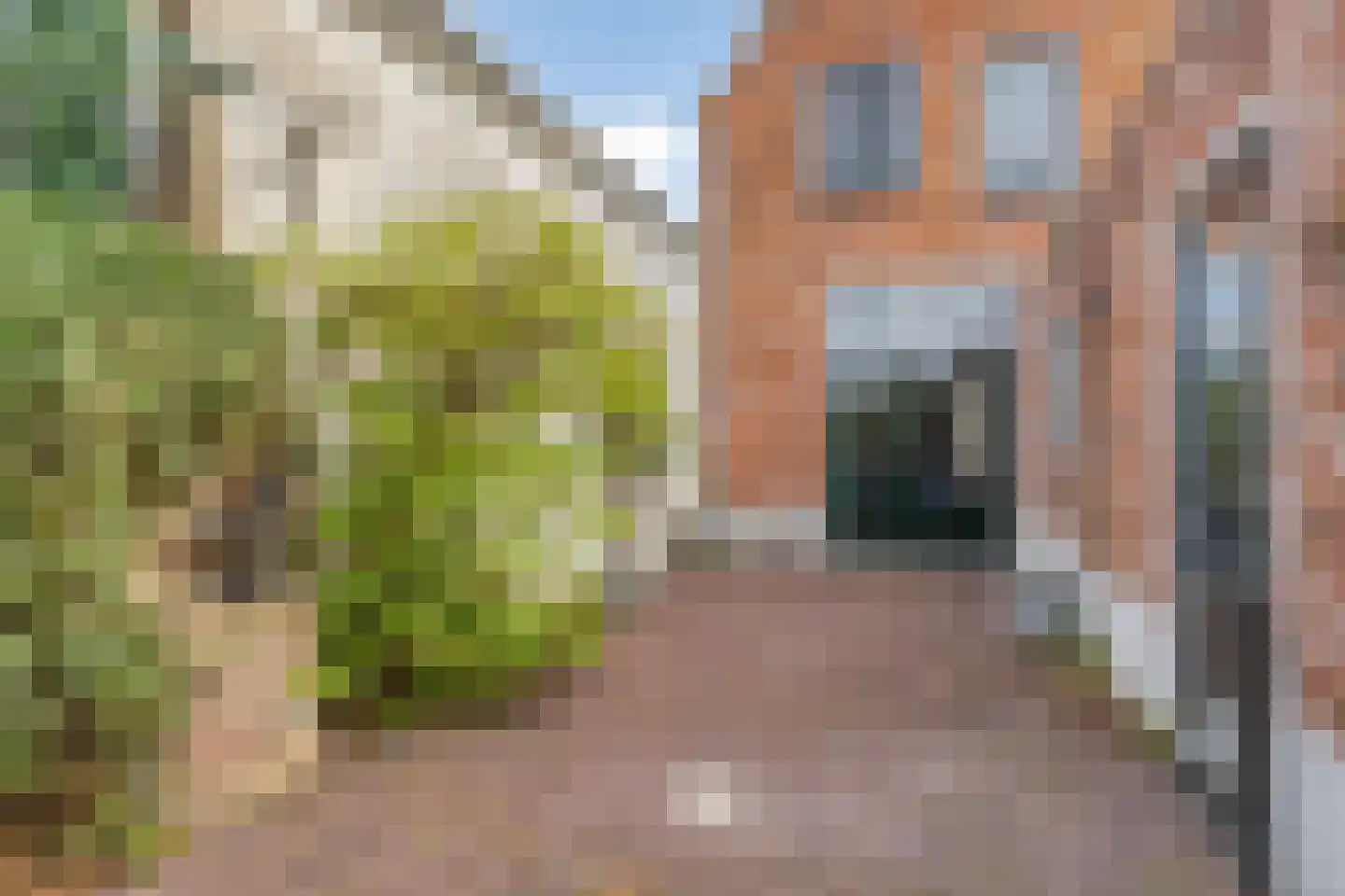 Vlooswijkstraat 63 Terneuzen thumbnail 11