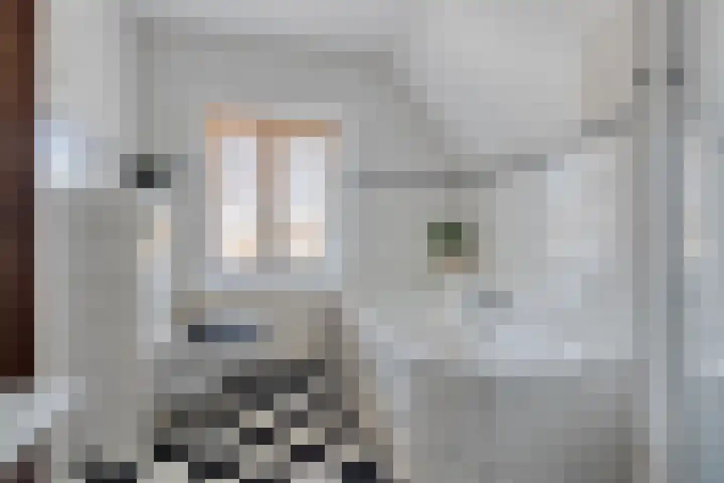 Vlooswijkstraat 63 Terneuzen thumbnail 26
