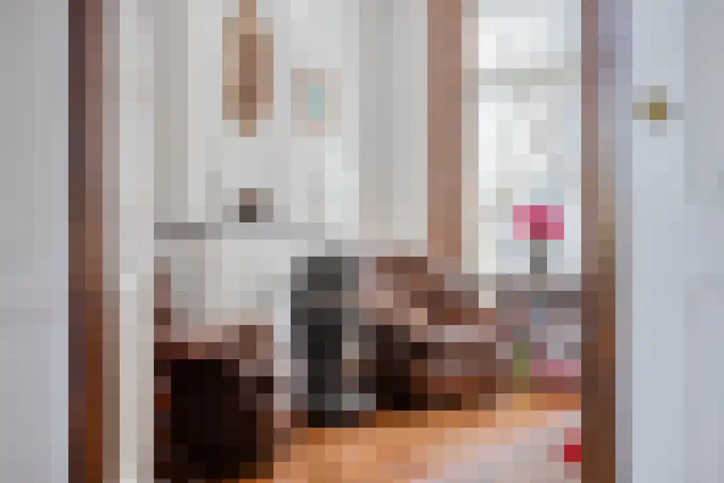 Vlooswijkstraat 63 Terneuzen thumbnail 5