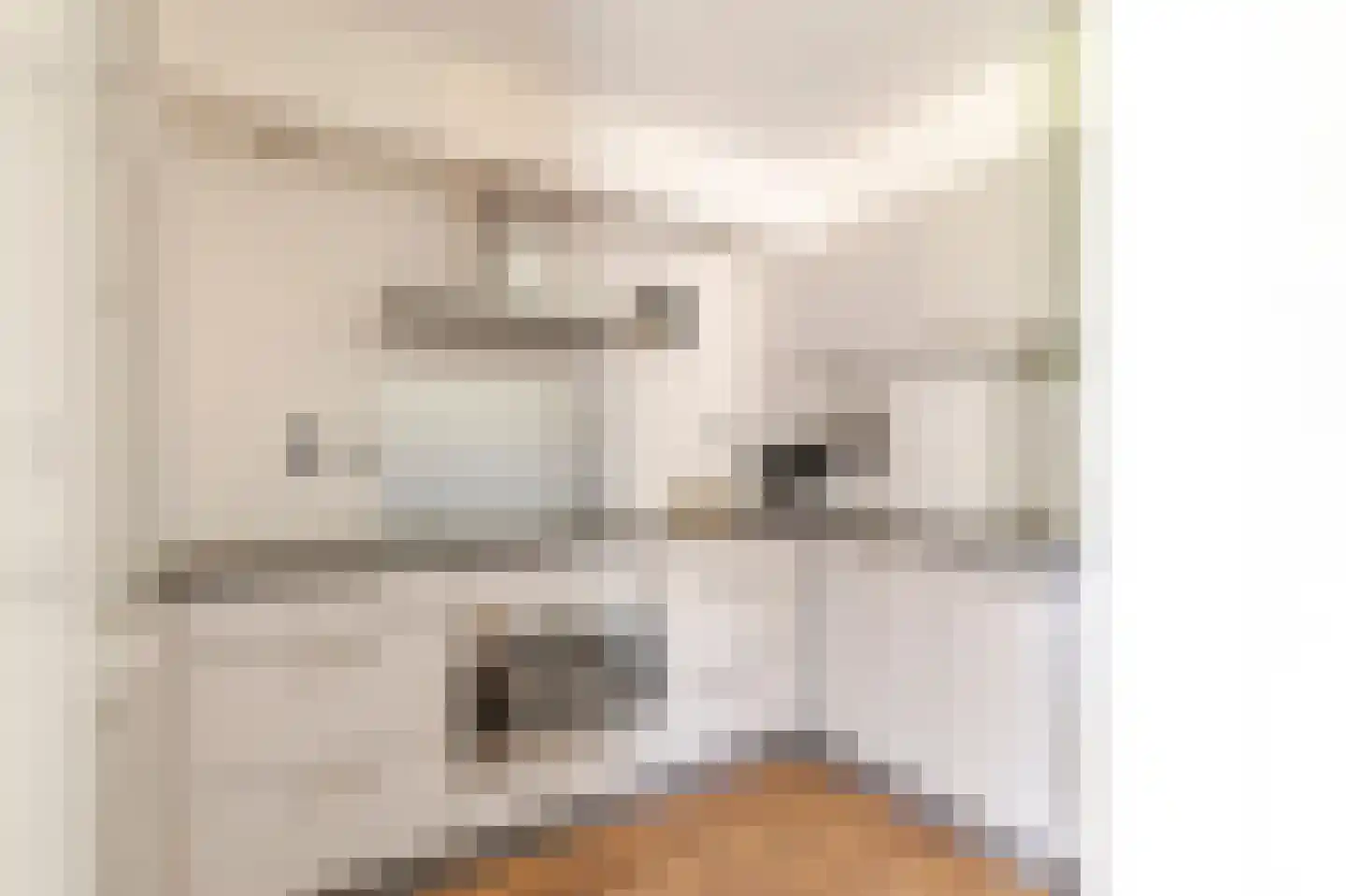 Vlotgras 15 Houten thumbnail 10