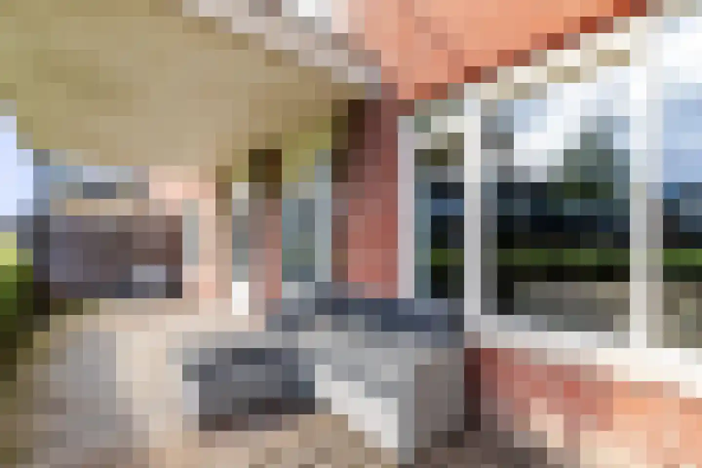 Vlotgras 15 Houten thumbnail 24
