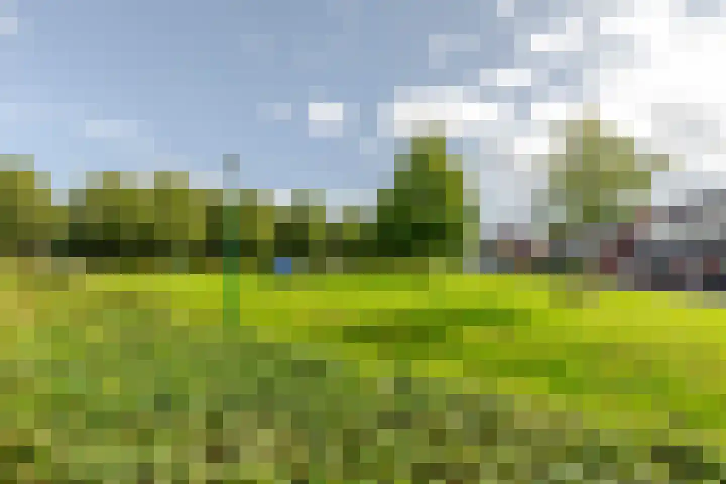Vlotgras 15 Houten thumbnail 30