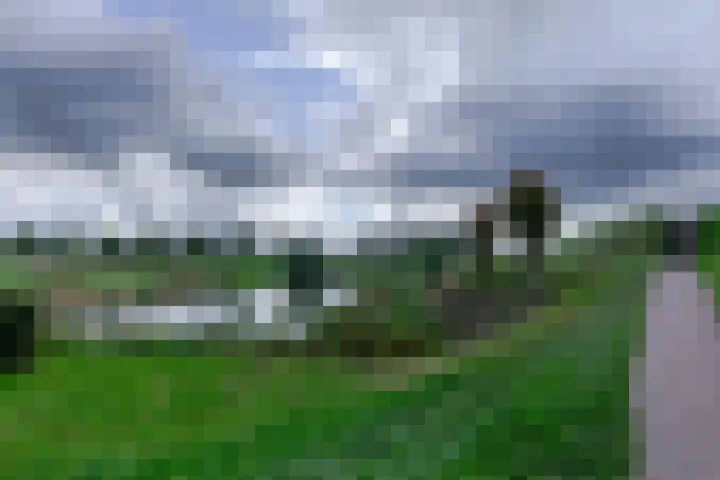 Vlotgras 15 Houten thumbnail 32