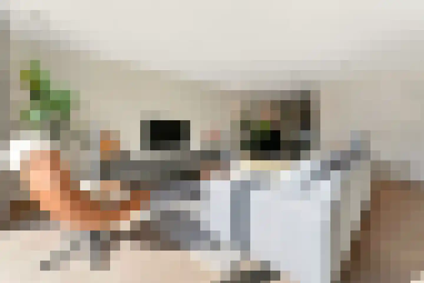 Vlotgras 17 Assendelft thumbnail 10