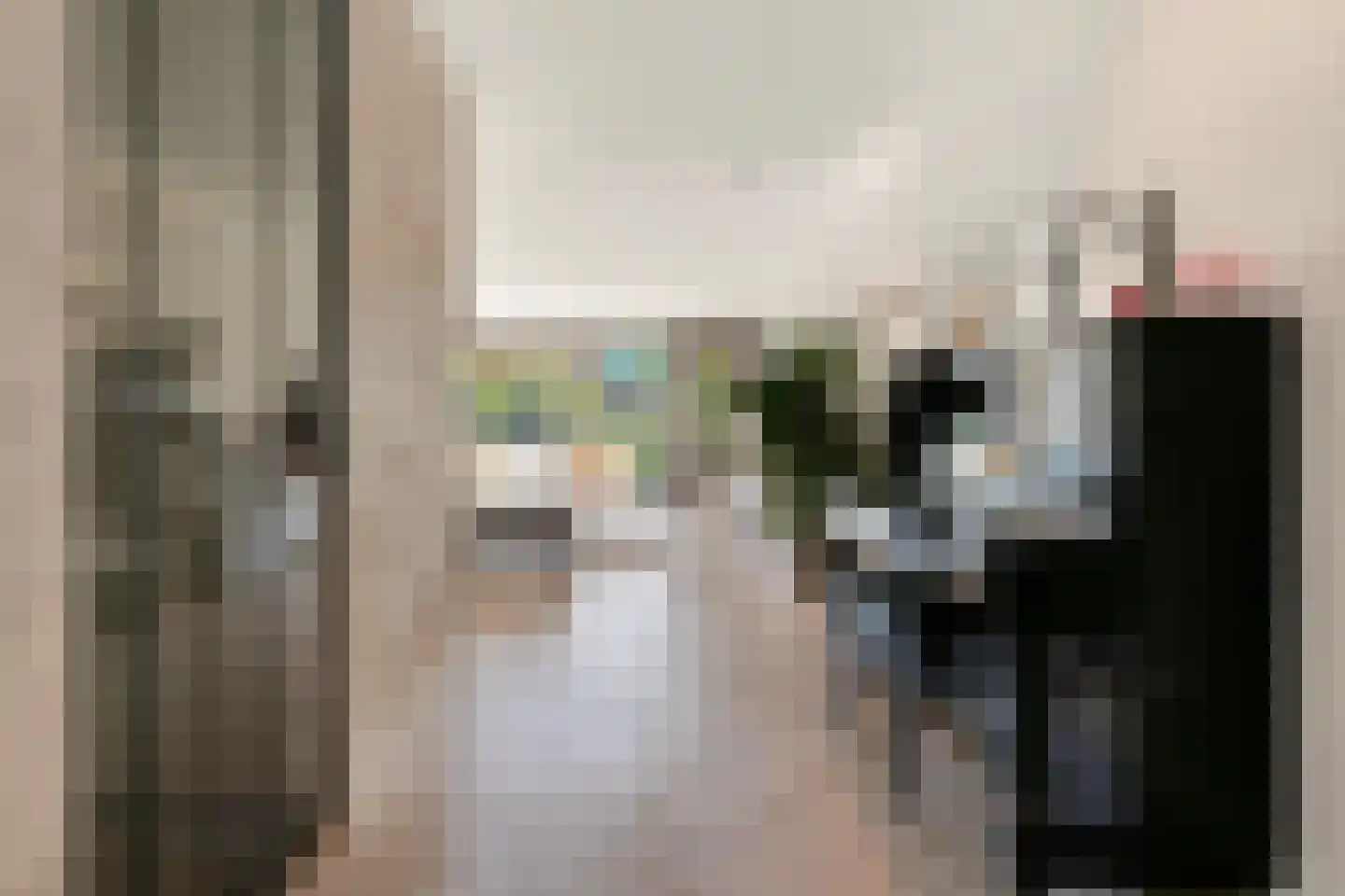 Vlotgras 17 Assendelft thumbnail 11