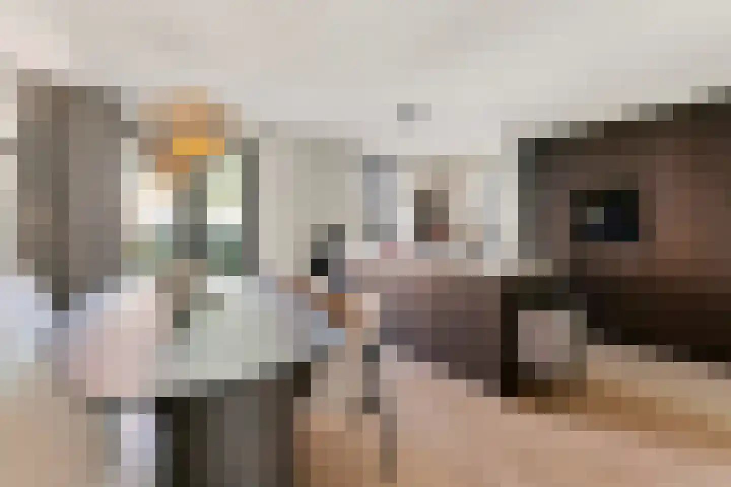 Vlotgras 17 Assendelft thumbnail 13