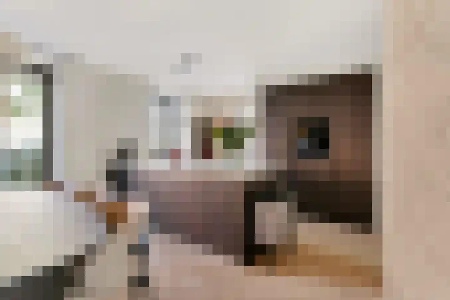Vlotgras 17 Assendelft thumbnail 14
