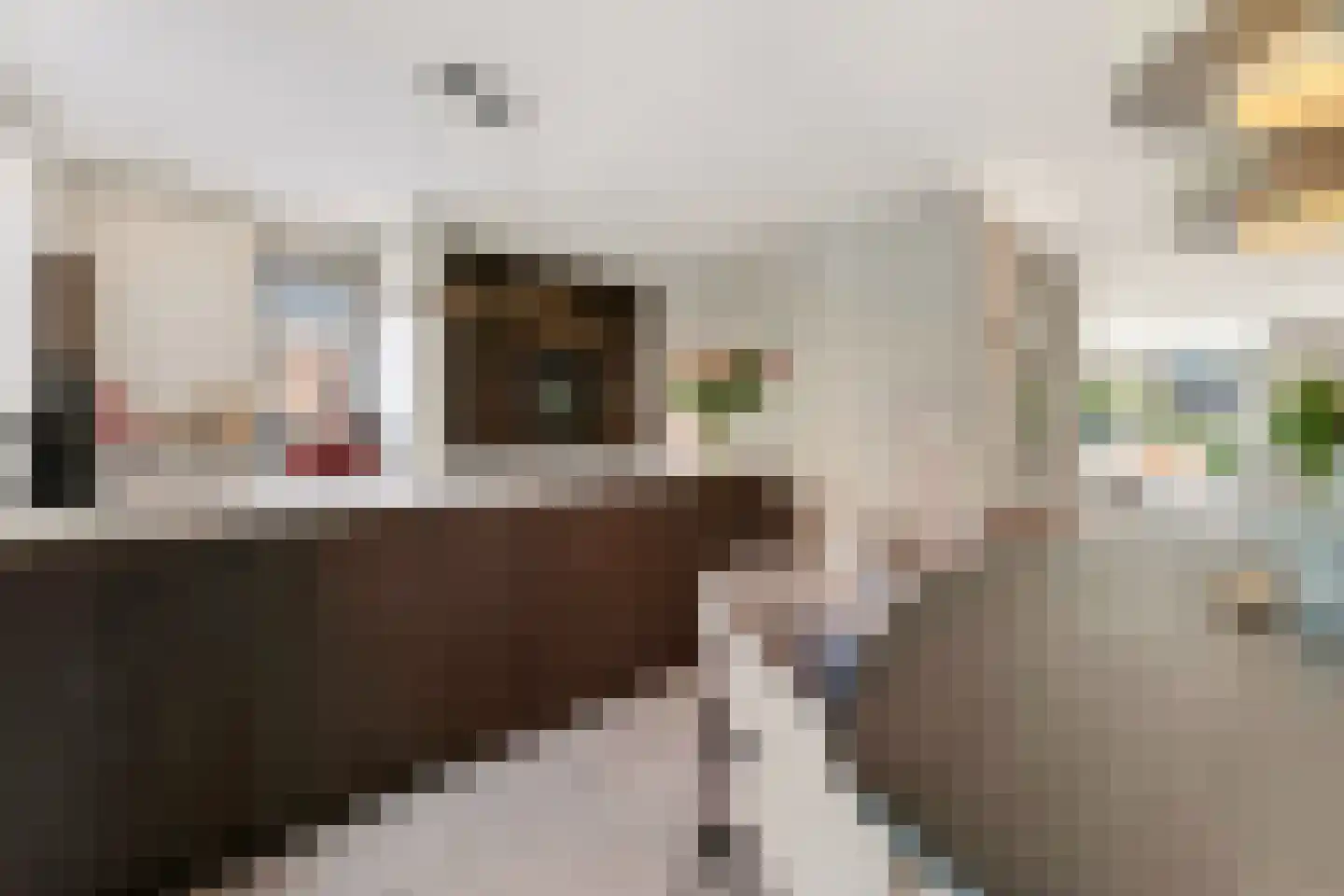 Vlotgras 17 Assendelft thumbnail 15