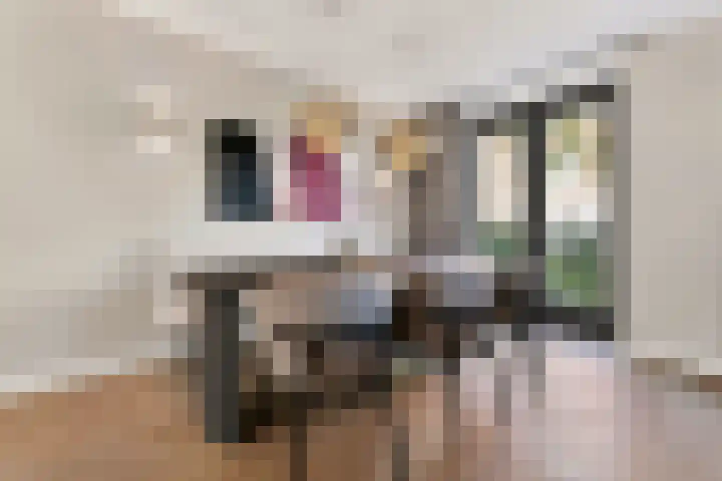Vlotgras 17 Assendelft thumbnail 16
