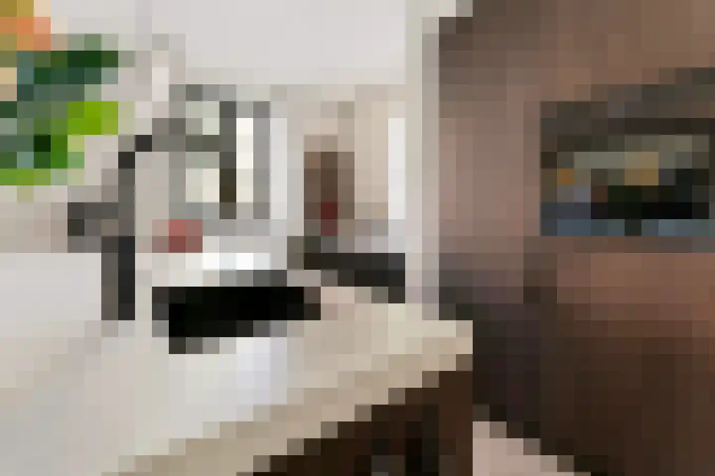 Vlotgras 17 Assendelft thumbnail 17