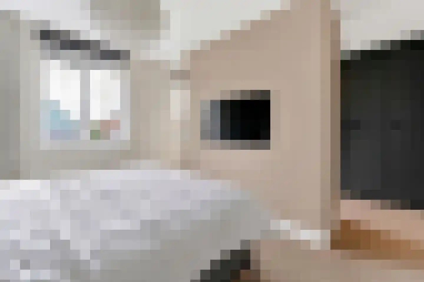 Vlotgras 17 Assendelft thumbnail 22