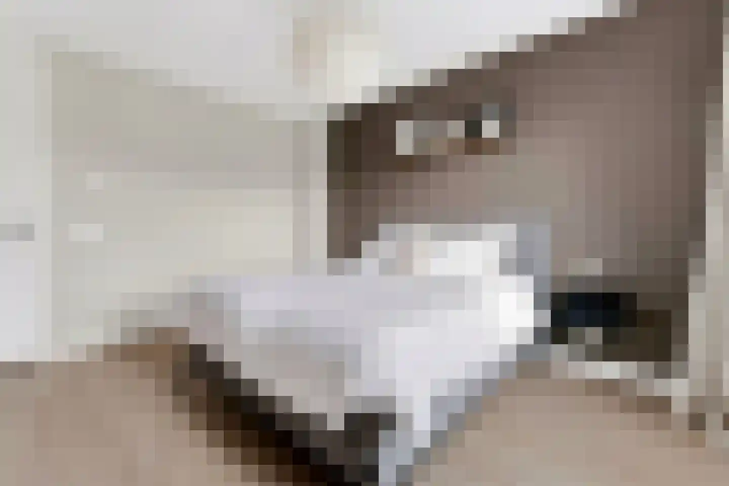 Vlotgras 17 Assendelft thumbnail 24
