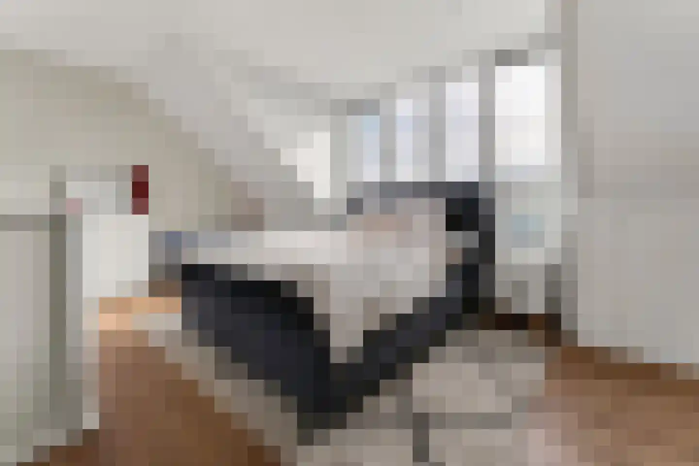 Vlotgras 17 Assendelft thumbnail 37