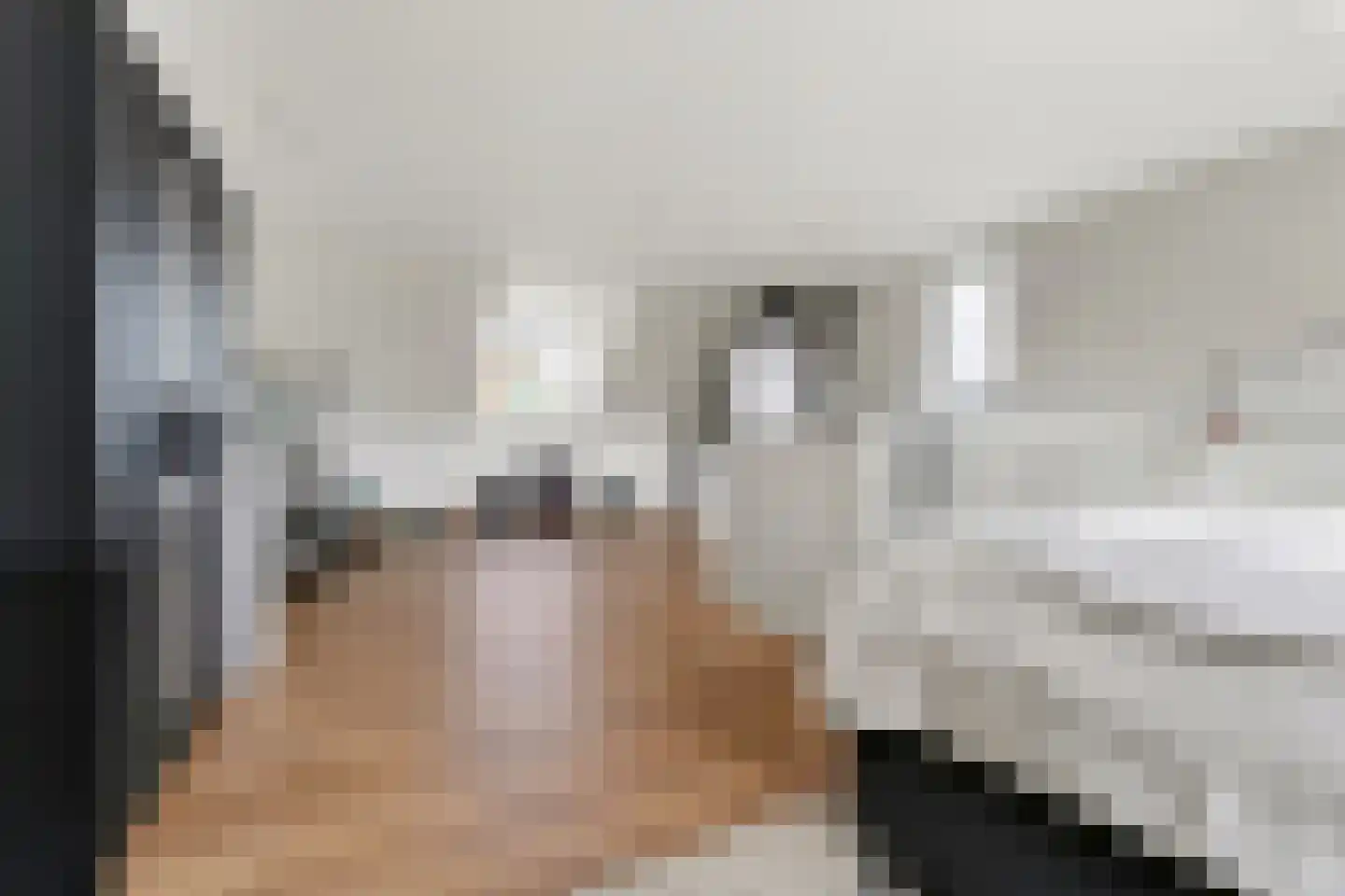 Vlotgras 17 Assendelft thumbnail 38