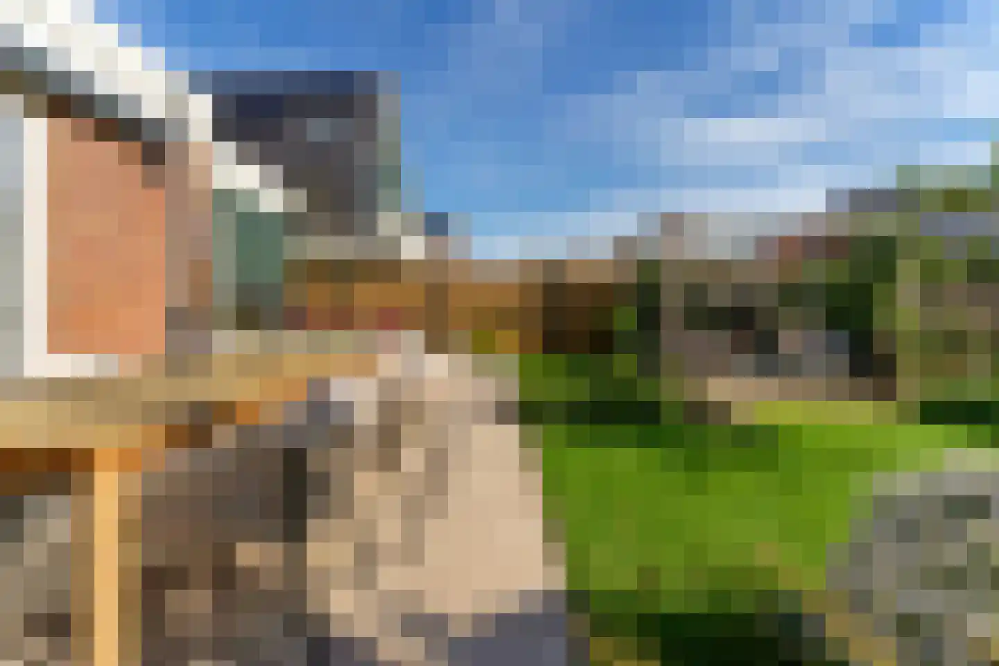 Vlotgras 17 Assendelft thumbnail 39