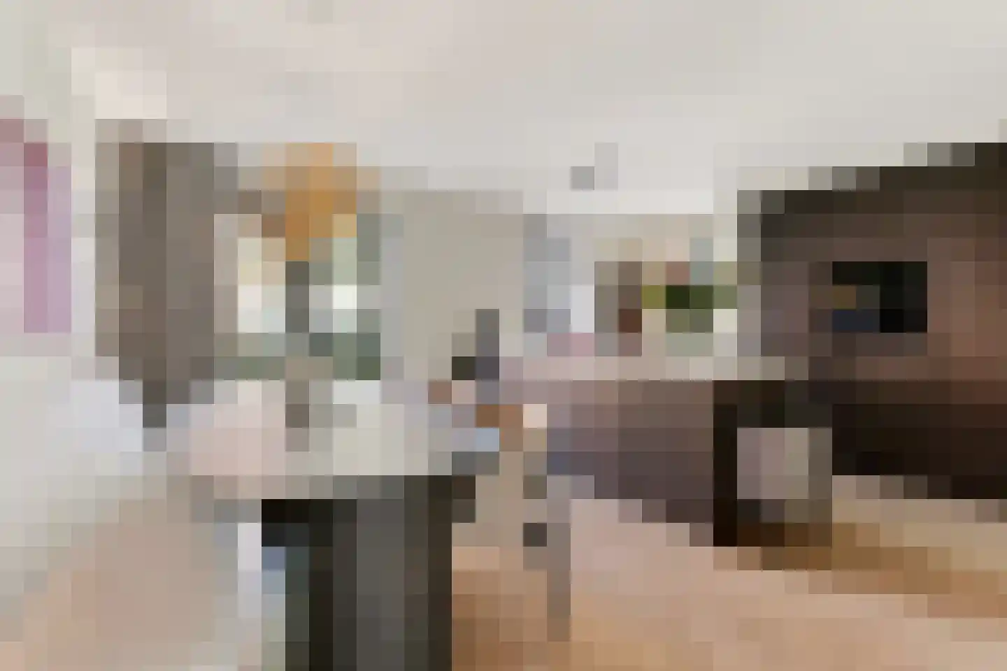 Vlotgras 17 Assendelft thumbnail 4