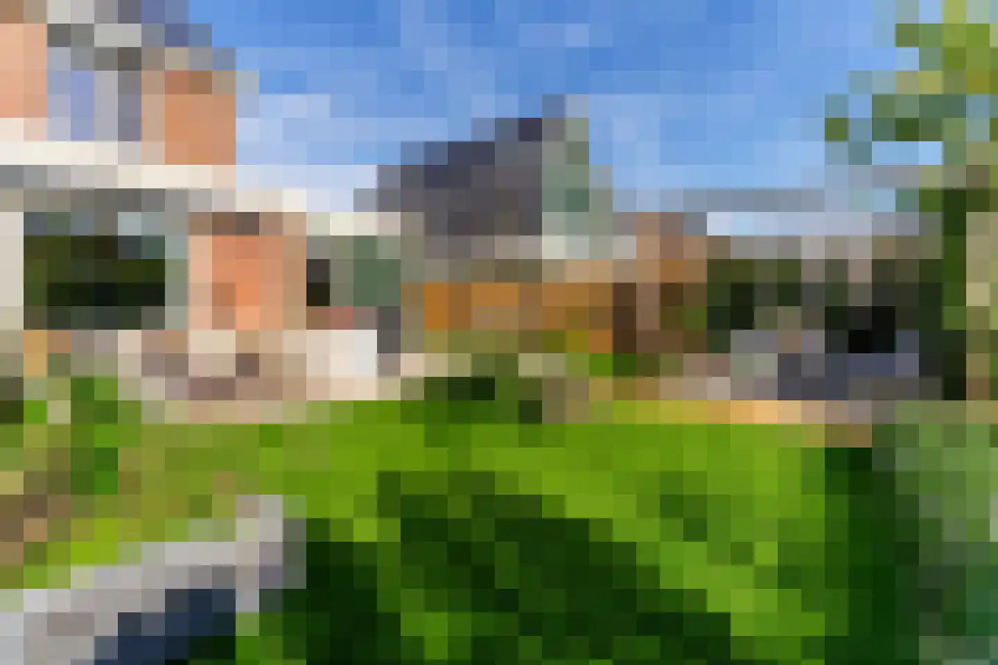 Vlotgras 17 Assendelft thumbnail 41