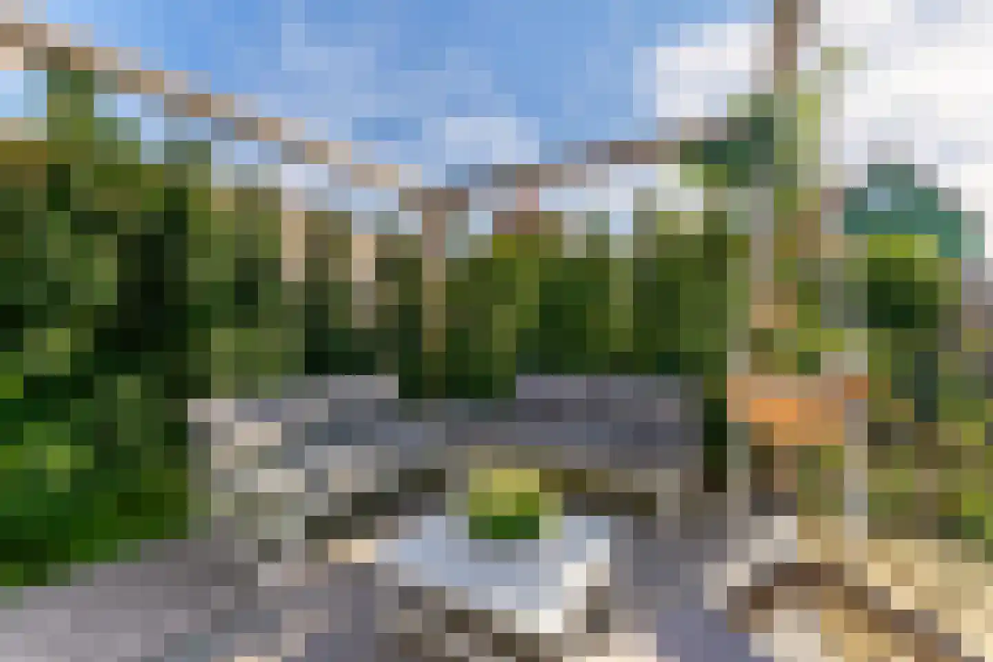 Vlotgras 17 Assendelft thumbnail 44