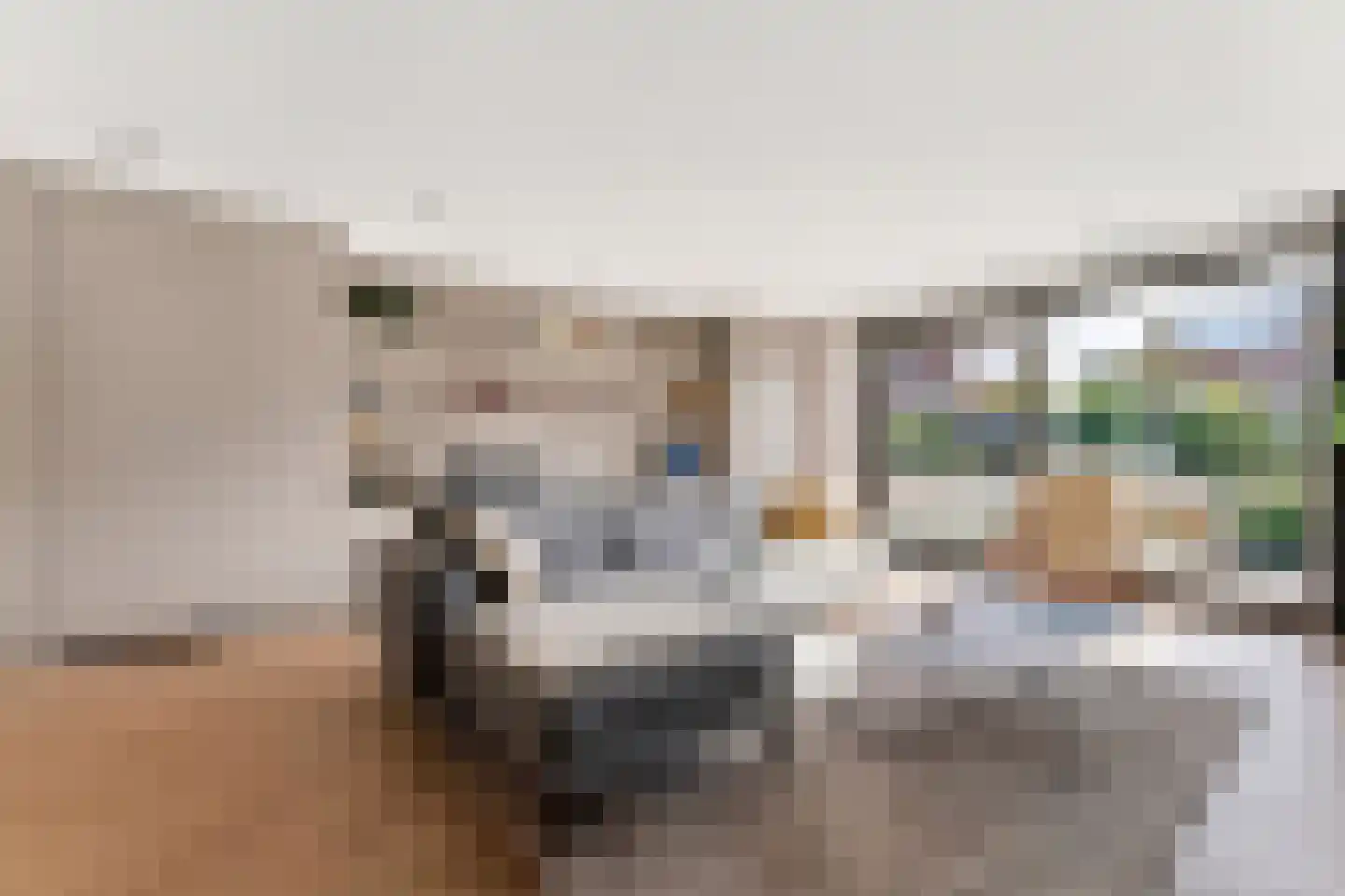 Vlotgras 17 Assendelft thumbnail 8