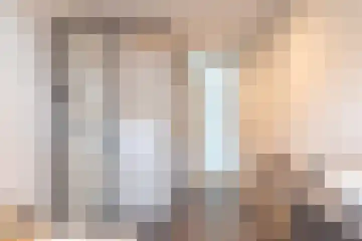 Vlotgras 29 Assendelft thumbnail 28