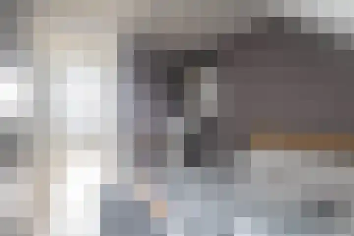 Vlotgras 29 Assendelft thumbnail 32