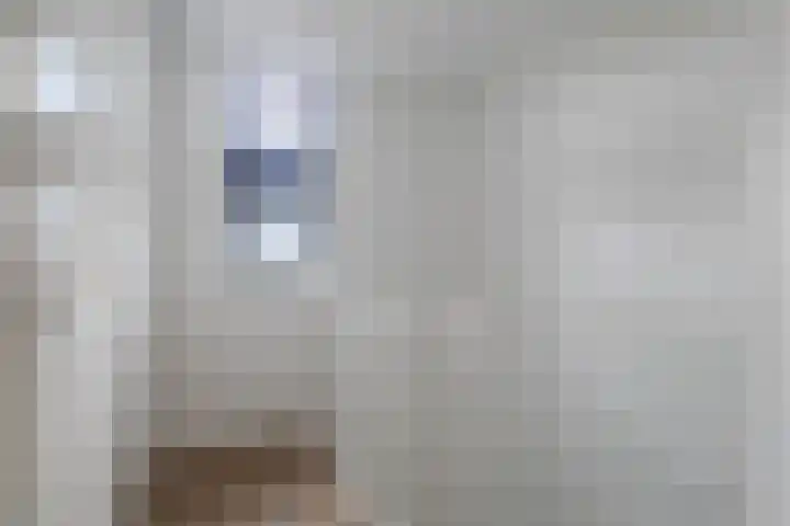 Vlotgras 29 Assendelft thumbnail 35