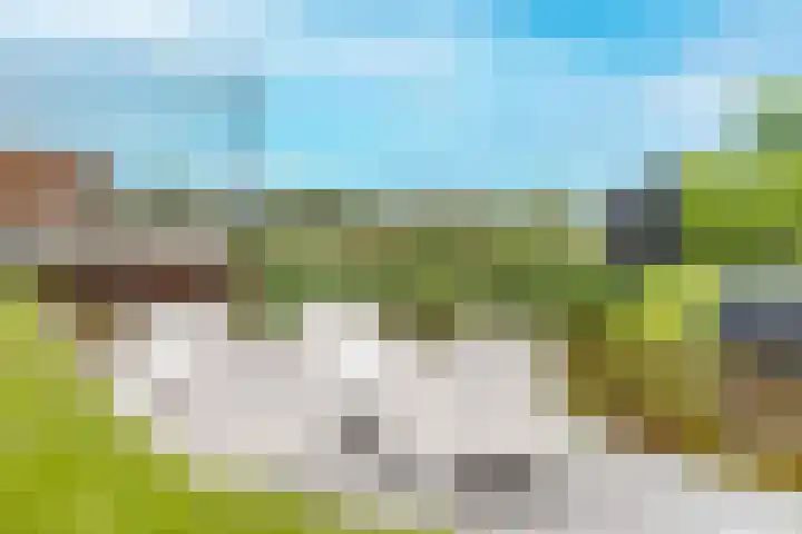 Vlotgras 29 Assendelft thumbnail 38