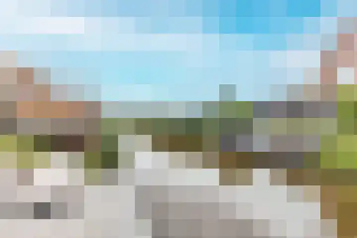 Vlotgras 29 Assendelft thumbnail 39