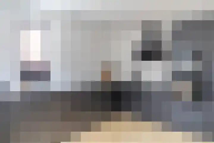 Vlotgras 29 Assendelft thumbnail 4