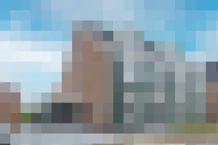Vlotgras 29 Assendelft thumbnail 43