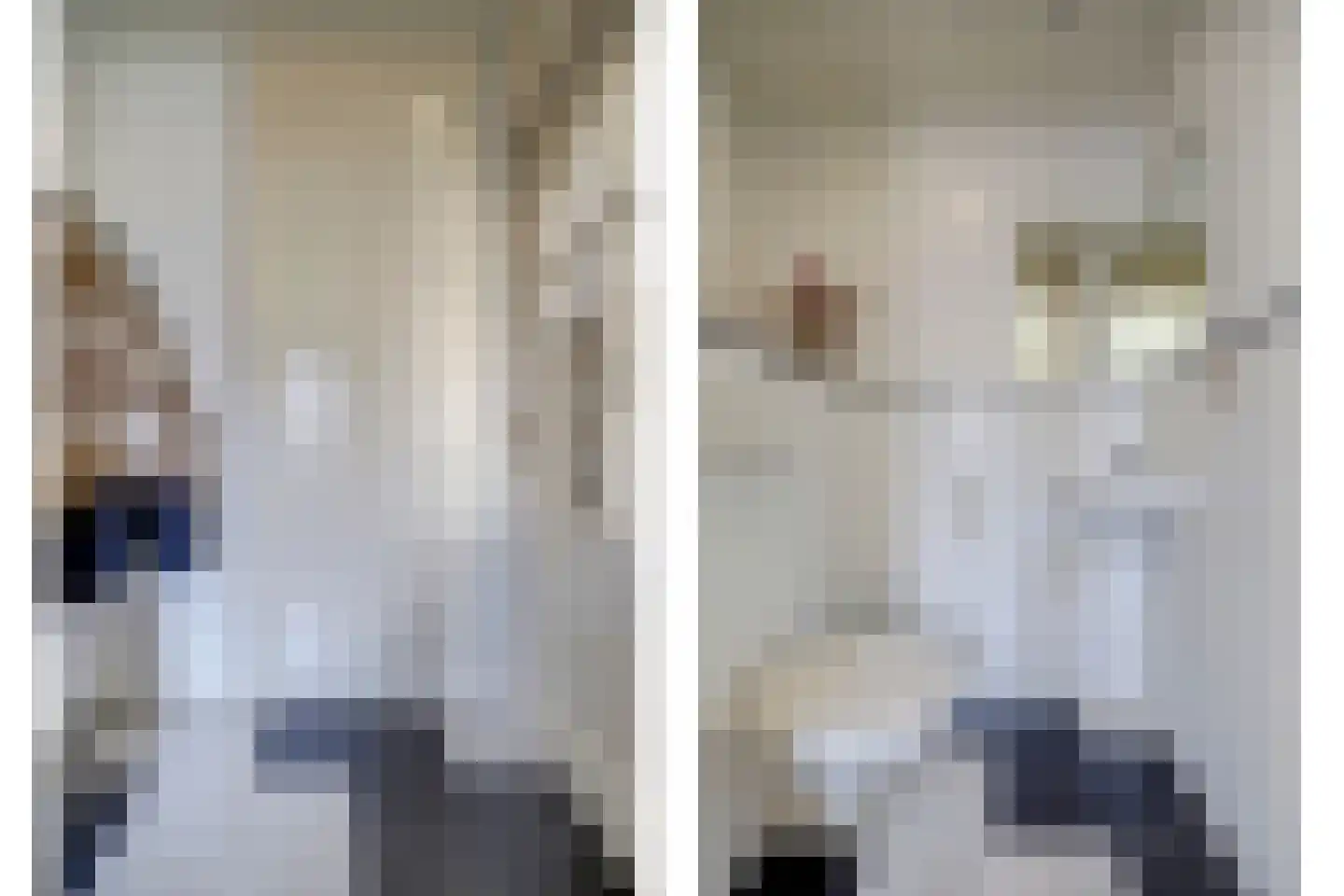 Vlotgras 3 Spijkenisse thumbnail 10