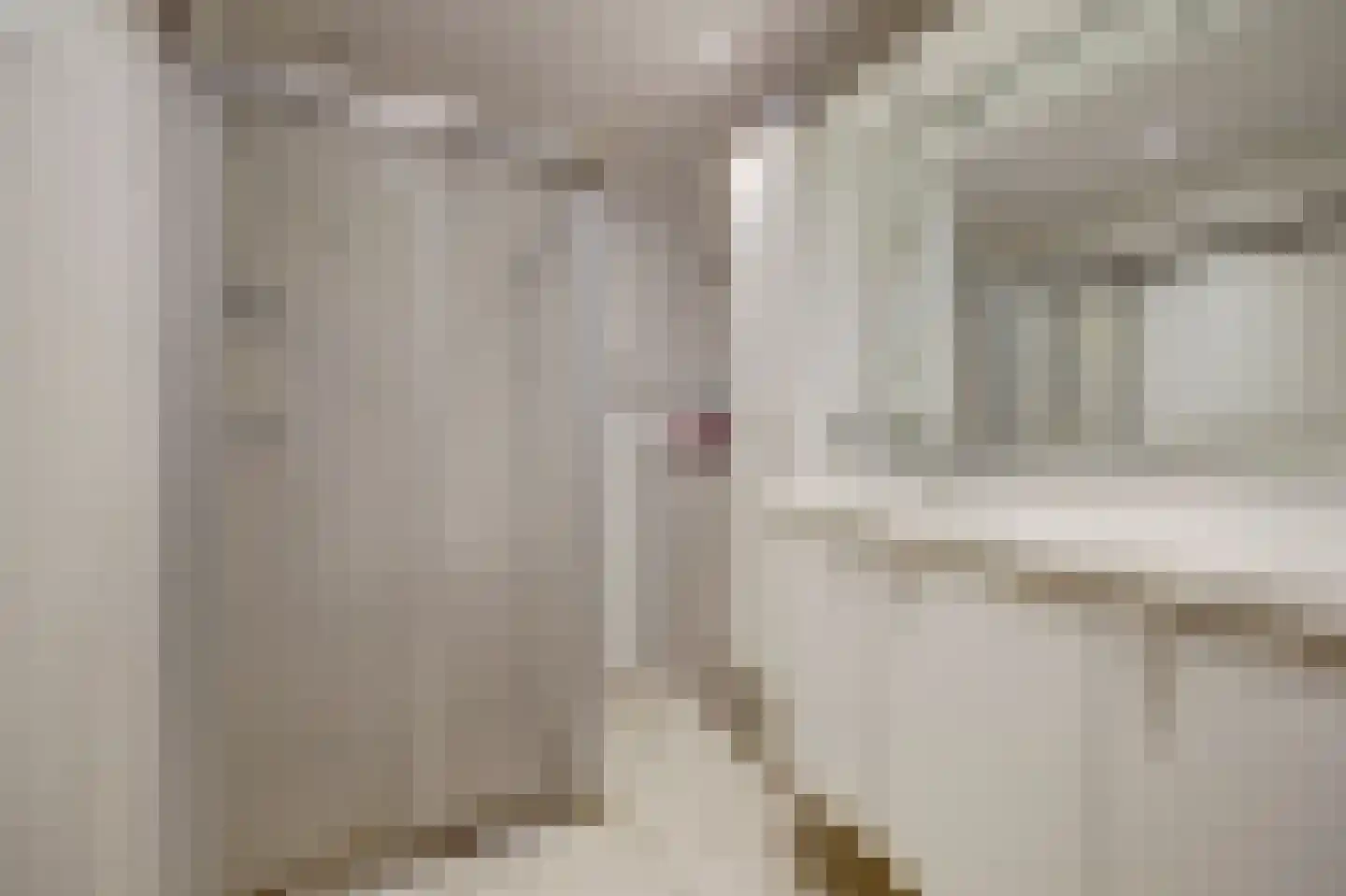 Vlotgras 3 Spijkenisse thumbnail 13