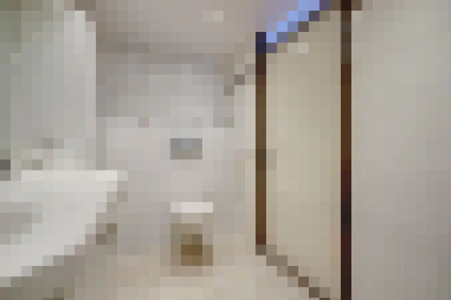 Vlotgras 3 Spijkenisse thumbnail 14