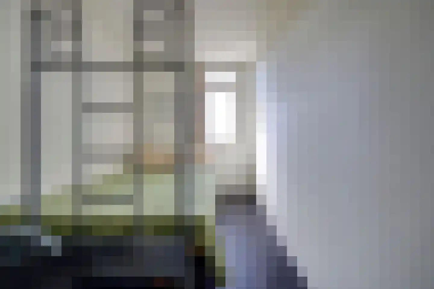 Vlotgras 3 Spijkenisse thumbnail 19