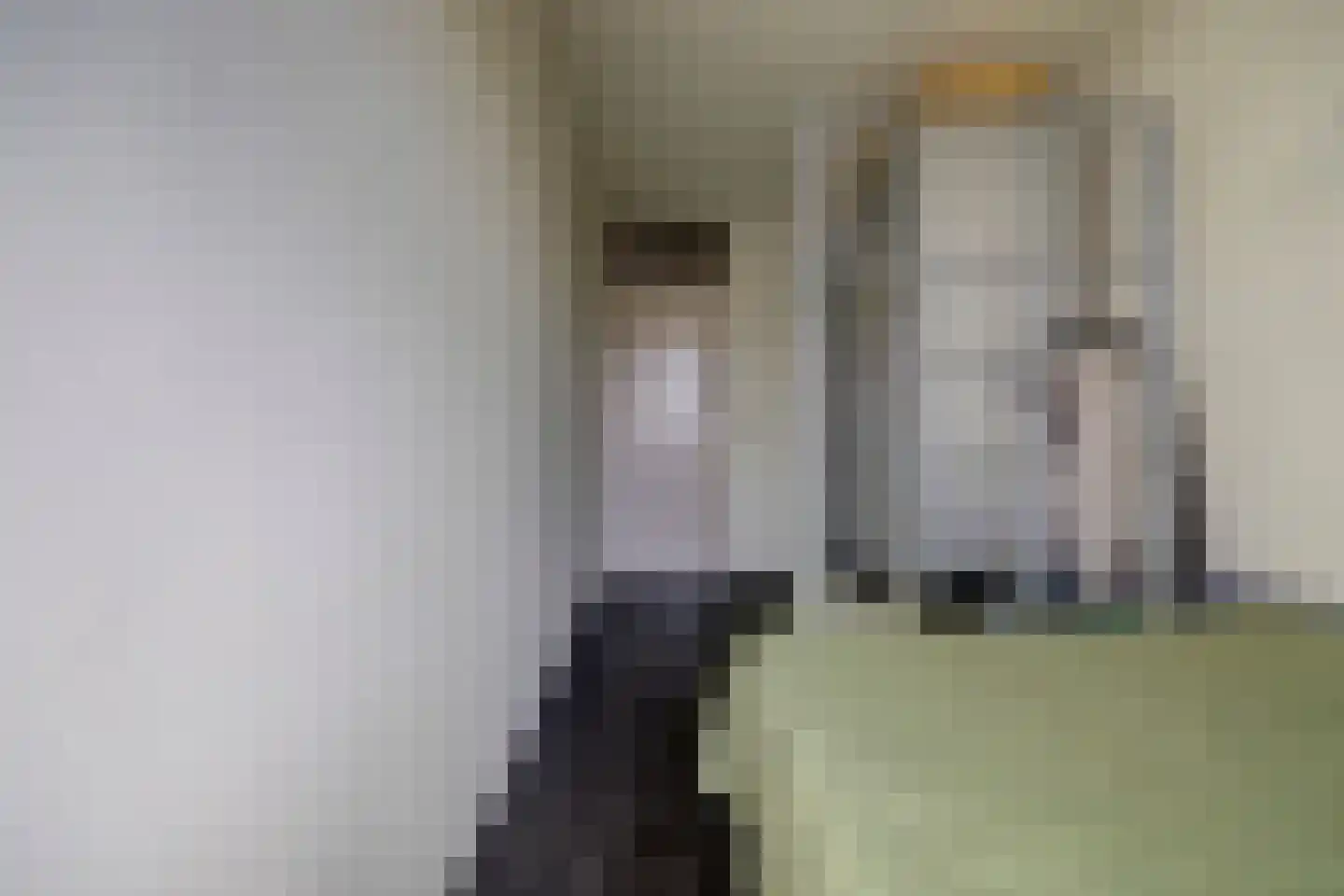 Vlotgras 3 Spijkenisse thumbnail 20
