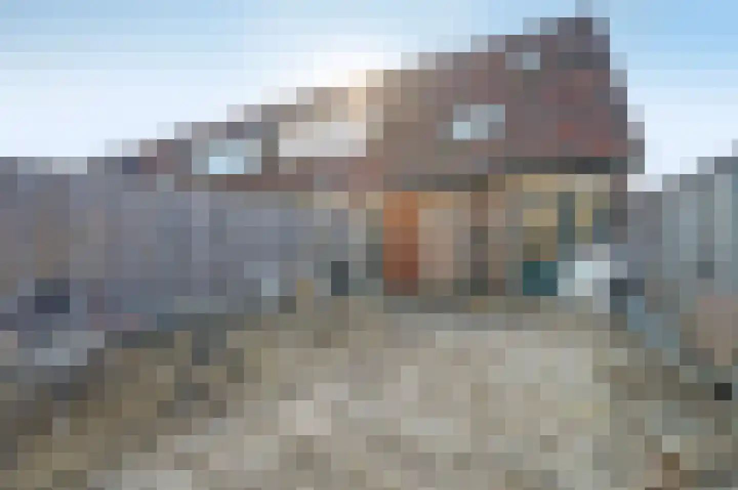 Vlotgras 3 Spijkenisse thumbnail 24