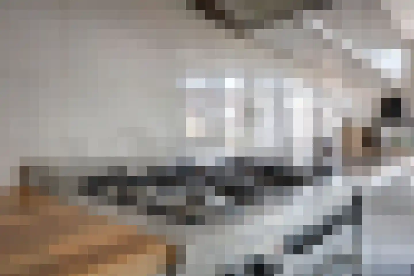 Vlotgras 3 Spijkenisse thumbnail 4