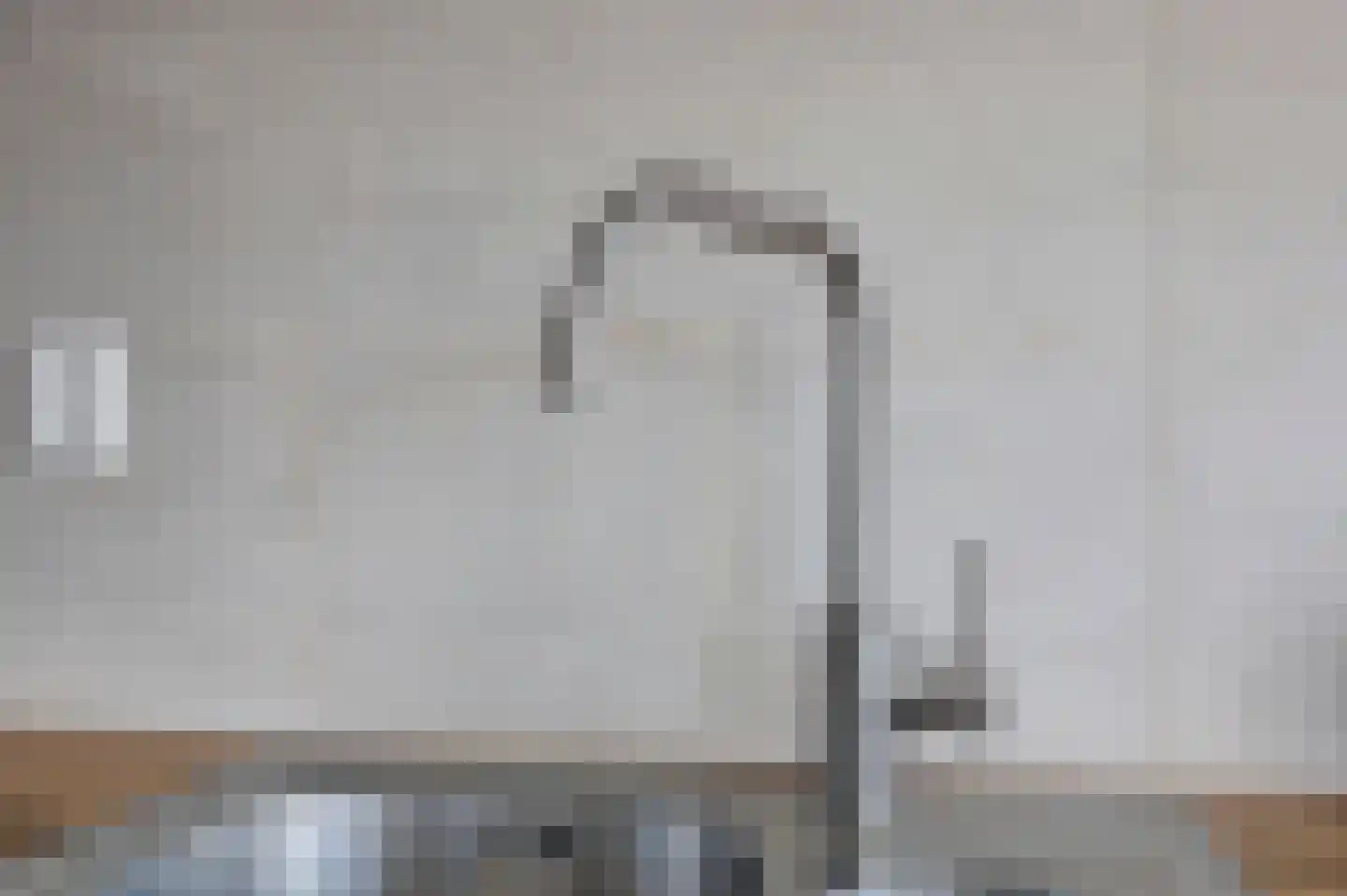 Vlotgras 3 Spijkenisse thumbnail 5