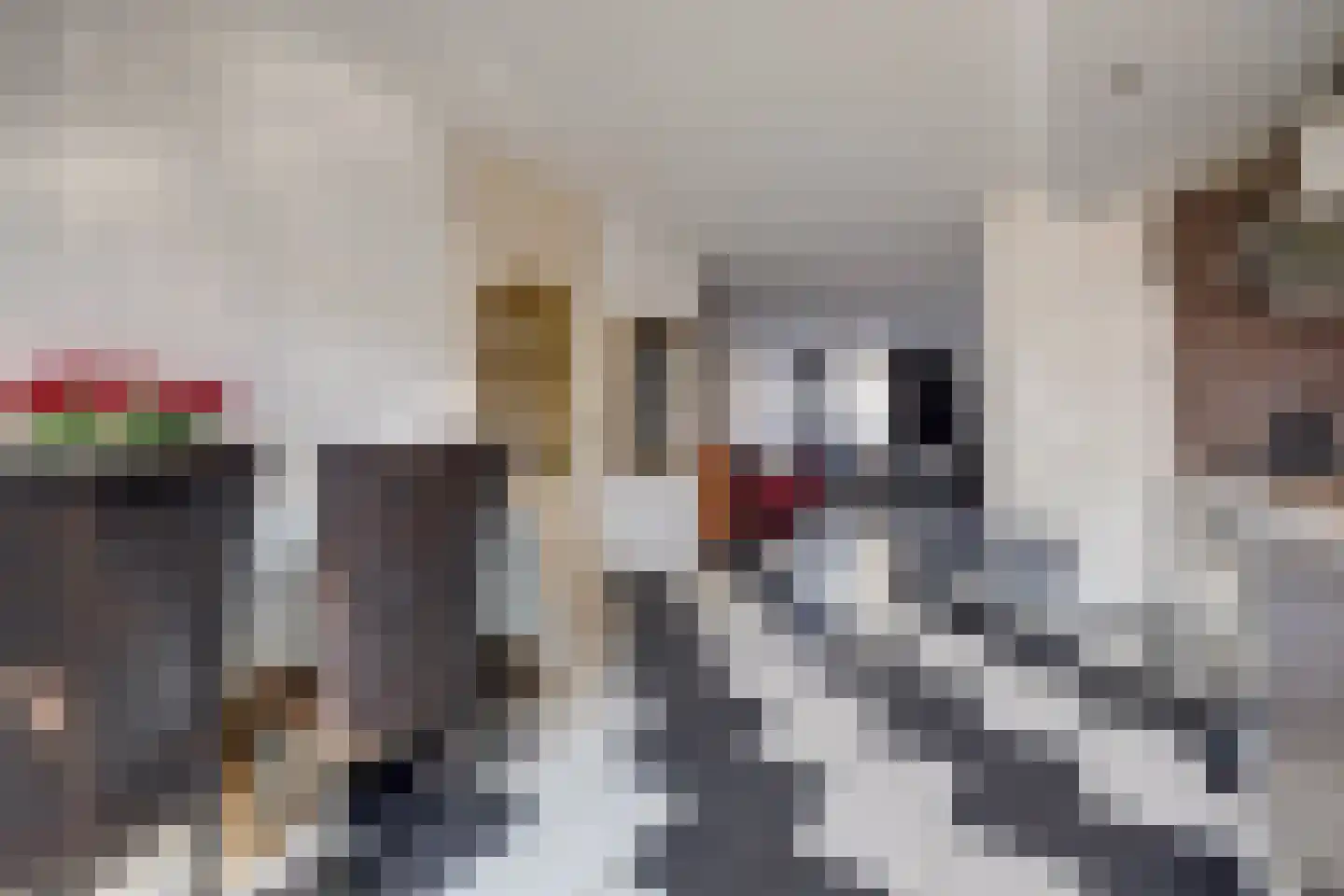 Vlotgras 3 Spijkenisse thumbnail 7
