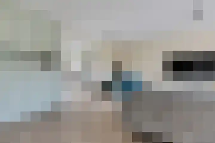 Vlotgras 4 Zeewolde thumbnail 12
